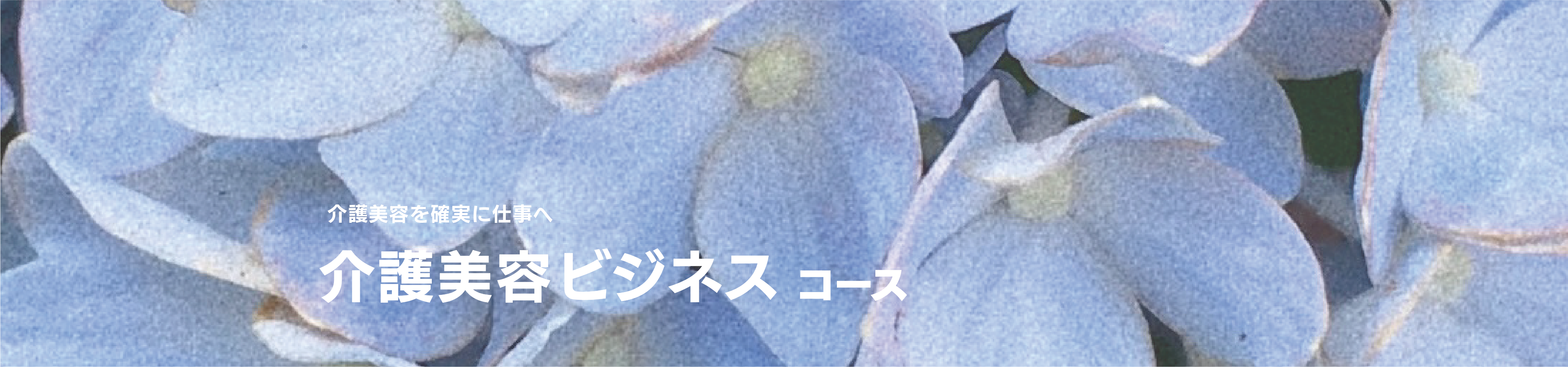 介護美容ビジネスコース