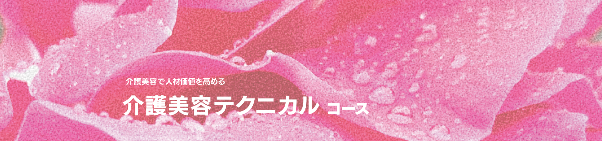介護美容テクニカルコース